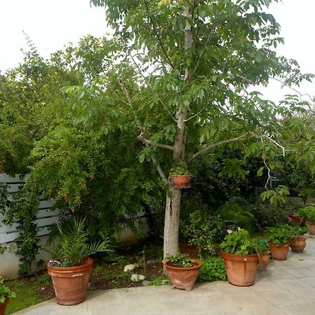 Sunny Garden Studio Hotel Nicosia Buitenkant foto