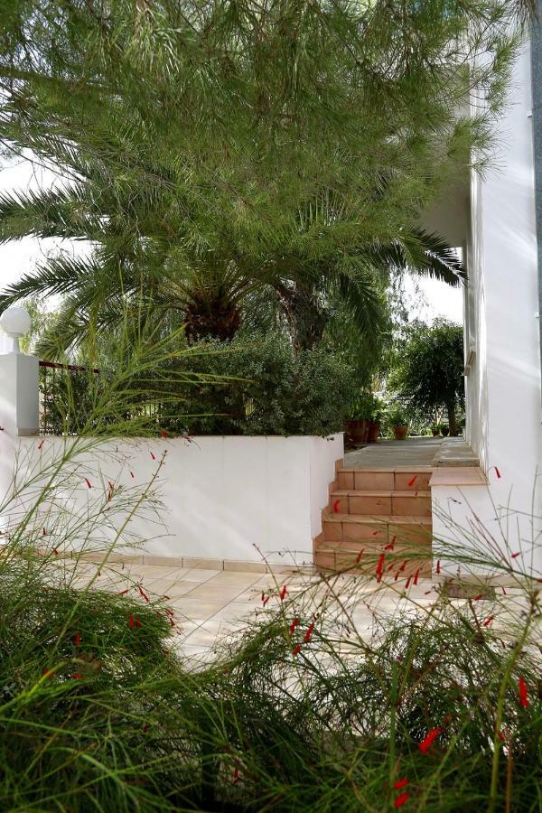 Sunny Garden Studio Hotel Nicosia Buitenkant foto