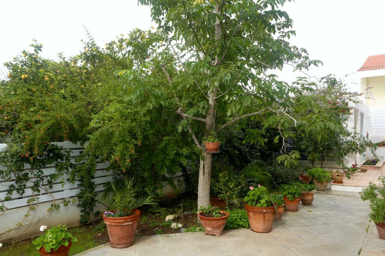Sunny Garden Studio Hotel Nicosia Buitenkant foto
